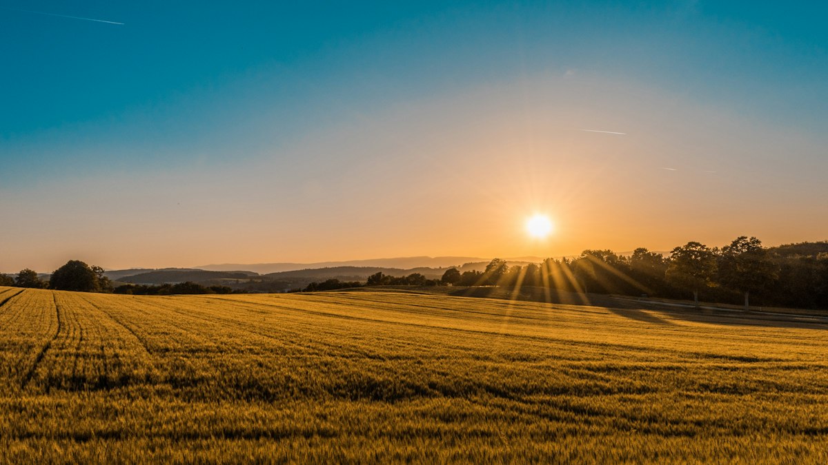 Fieldgrain Foods